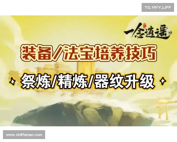 法宝应用技巧全面解析与实战经验分享助你提升使用效果 法宝应用技巧全面解析与实战经验分享助你提升使用效果