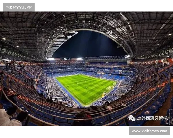 探索北美洲独特杯赛文化与激情赛事背后的历史与故事