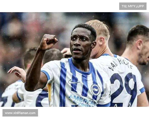 揭秘维尔贝克为何被称为黑贝背后的故事与真相解析